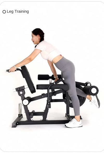 Multi-functional leg, waist & ab gym training bench.