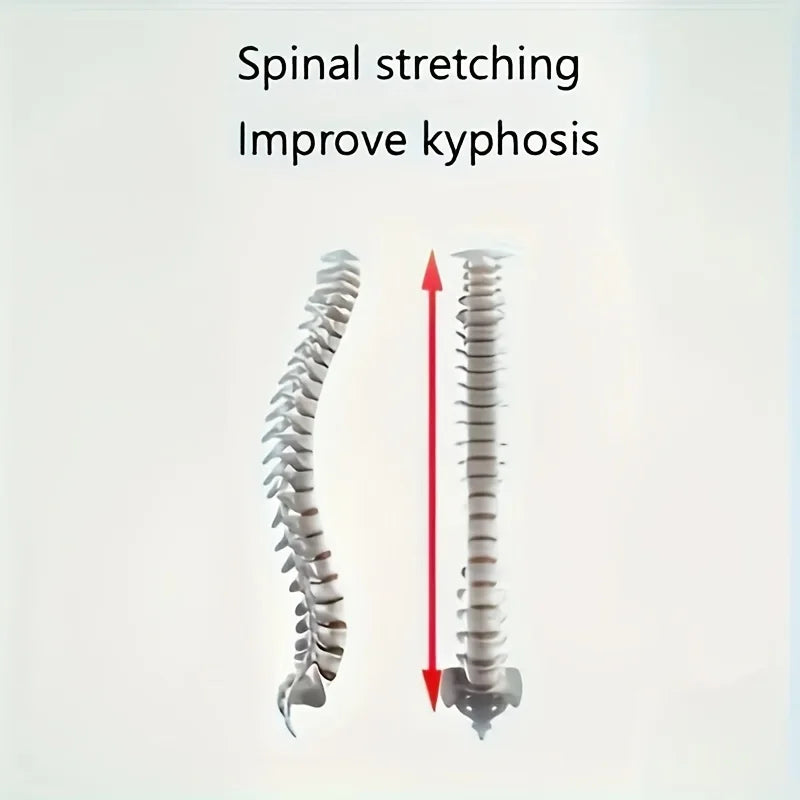 Adjustable Gym Rings Made of Durable PA Material, Ideal for Grip Training, Easy to Install, Supports Up to 300.0 KG